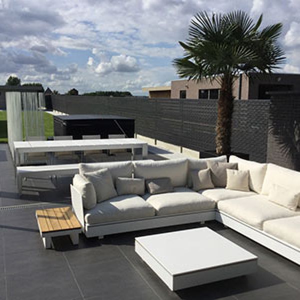 trachycarpus-fortunei-lounge-terras