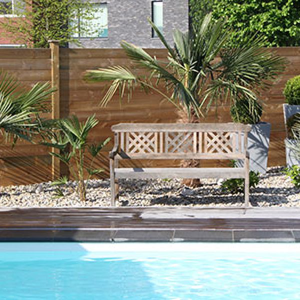 trachycarpus-fortunei-zwembad